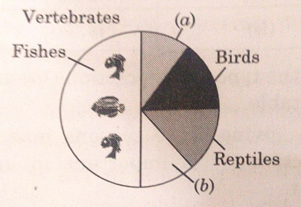 Identify 'a' and 'b' in the figure given below  representing proportionate number of major vertebrate taxa.