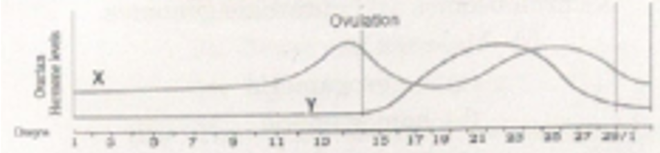 Study the graph given below related to menstrual cycle in demales:  Identify ovarian hormones X and Y mentioned in the graph and specify their source.
