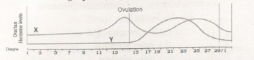 Study the graph given below related to menstrual cycle in Females:    Correlate and describe the uterine events that take place according to the ovarian hormone levels X and Y mentioned  in the graph during   6-15 dats  16-25 days   26-28 days (when ovum is not fertilised)