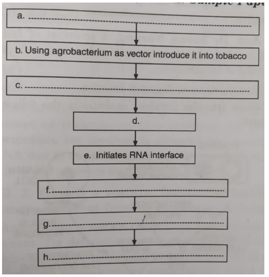 Two of the steps involved in producing nematode resistant tobacco plants based on the process of RNA is Are mentioned below. Write the missing steps in its proper sequence.