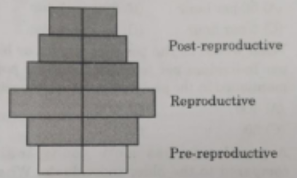 What type of human population is represented by the following age pyramid?