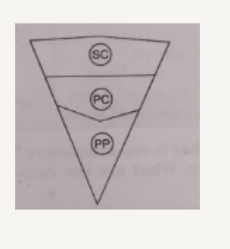 Complete the pyramid by labelling PP, PC and SC.