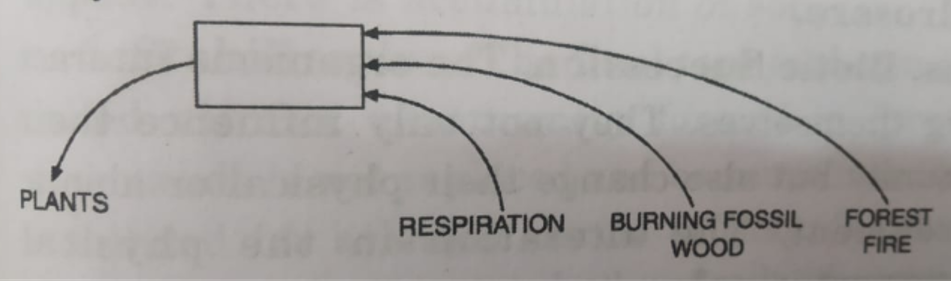 The above diagram shows a simplified biotechemical cycle   In what way do vehicles add this compound to the atmosphere?