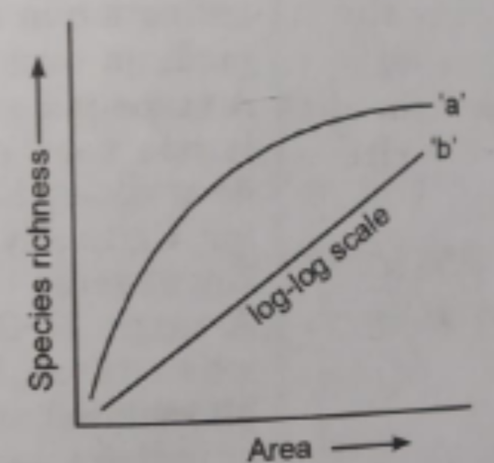 The following graph shows the species area relationship. Answer the following questions as directed.  When would the slpe of the line 'b' become steeper?