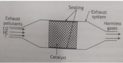 Observe the diagram of the catalytic converter and answer the questions which follow:   Name the gases that are released after passing the exhaust hydrocarbons through the cataytic converter