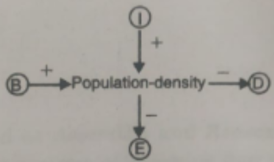 Four basic processes produce fluctuations in population density    Which terms are represented by B, D, I, E?