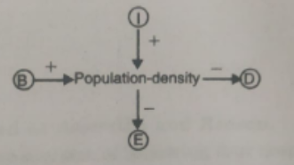Four basic processes produce fluctuations in population density    Define the terms B and E.