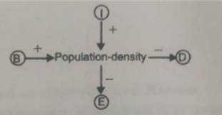 Four basic processes produce fluctuations in population density. 
define  I and D