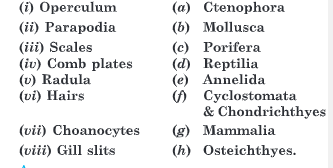 Match the following :