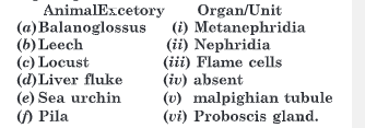 Excretory organs of different animals are given below. Choose correctly and write in the space provided.