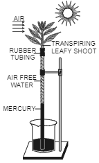 Comment on the experimental set up.    What will happen to the level of water if a blower is placed close to set up.