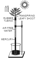 Comment on the experimental set up.    Will the mercury level fluctuate (go up/down) if phenyl mercuric acetate is sprayed on leaves?