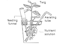 Carefully observe the followig figurue    What is the significance of aerating tube and feeding funnel in this setup?