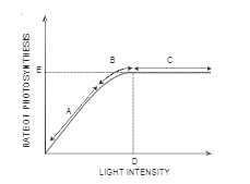 Figure shows the effect of light on the rate of phtosynthesis. Based on the graph,  answer the following question:    At which points (A,B,C) in the curve is light a limiting factor?