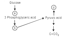 In the following flow chart, replace the symbols a, b, c and d with appropriate terms. Briefly explain the process and give any two applications of it.