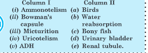 Match column I and column II