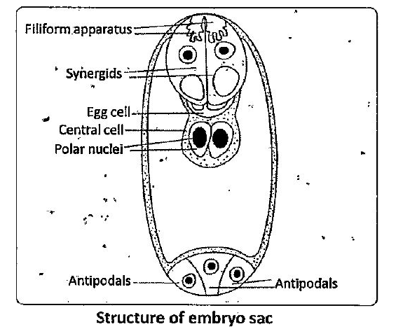 ocr_image