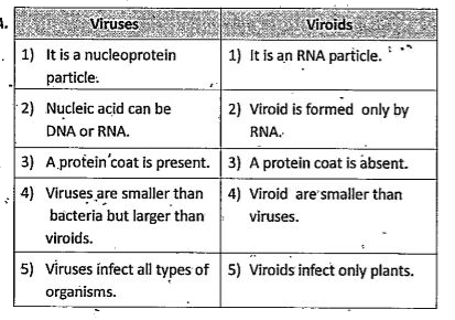 ocr_image