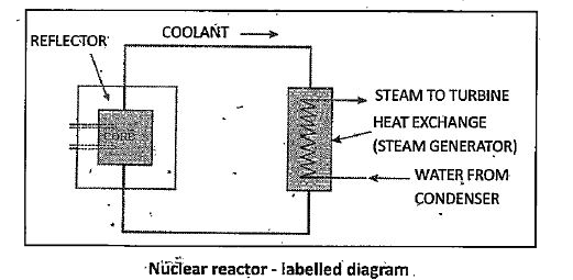 nuclear reactor labeled diagram