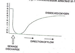 Study the graph given below. Explain how is oxygen concentration affected in the river when sewage is discharged into it.