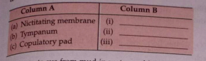 Write the function in brief in column B, appropirate in the strucutres given in column A.