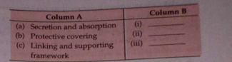 Write the appropriate type of tissues in column B, according to the functions mentioned in column A.