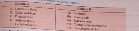 Match the following: