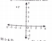 In the figure, coordinates of P are