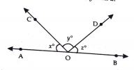 In the fig.x:y:z=5:4:6. If AOB is a straight line, find the values of x,y and z