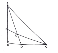In fig, AD and CE are the angle bisectors of angleA and angleC respectively. If angleABC=90^@ then find the angleAOC