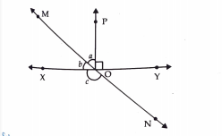 In fig. lines XY and MN intersect at O. if anglePOY=90^@ and a:b=2:3, find c