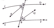 In fig. Bisectos AP and BQ of the alternate interior angles are parallel then show that l||m