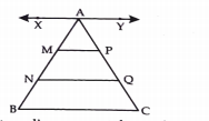 In the fig points M and N divide AB of triangleABC into three equal parts. Line segments MP and NQ are both parallel to BC and meet AC in P and Q respectively. Prove that P and Q divide AC nto three equal parts