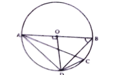 AB is a diameter of the circle C(AO,R) and the radius OD is perpendicular to AB. If C is any point on the arc DB, find angleBAD and angleACD