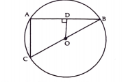 In the figure    OD is perpendicular to the chord AB of a circle whose centre is O. If BC is a diameter, show that CA = 2OD