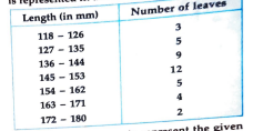 The length of 40 leaves of a plant are measured correct to one millimetre, and the obtained data is represented in the following table:  Is it correct to coclude that the maximum number of leaves is 153 mm long? why?