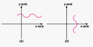 Which one of the following graph represents the function of x? Why?