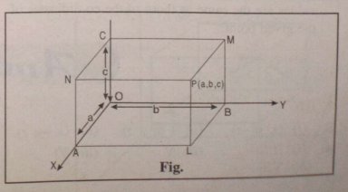 In the figure, if P is (a, b, c), find the co-ordinates of A, B, C and L, M, N.