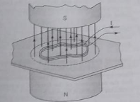 A rubber band is covered with a conducting and current passed through it in the direction as shown in the figure. What happens, when it is placed in the magnetic field vecB shown in the figure