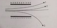 Shows the tracks of three charged particles crossing a uniform electrostatic field with same velocities along horizontal. Give the signs of the three charges. Which particle has the highest charge to mass ratio?