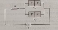 Show in figure two p-n junction diodes along-with a resistanc R and a d.c. battery E. Indicate the path and direction of flow of appreciable current in the circuit.