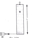 A rod of length l and mass m is hinged at  point O. A small bullet of mass m hits the rod as shown in the figure. the bullet gets embedded in the rothed. find angular velocity of the system just after impact.