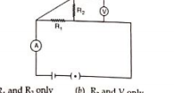 Which of the circuit components in the following circuit diagram are connected inparallel?