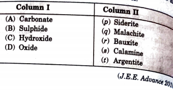 Match the species given in Column I that are present in the ore(s) given in Column II.