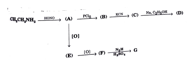 Identify (A) to (G) in the following reaction scheme :