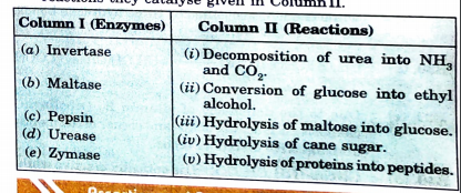 Match the following enzymes given in Column I with the reactions they catalyse given in Column II.