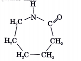 Which of the following polymer can be formed by using the following monomer unit?