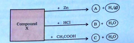 Identify the compound X on the basis of the reactions given below: Also, write the name and chemical formulae of A,B and C.