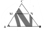 DeltaABC में AB के समान्तर रेखा MN खींची गई है यदि चतुर्भुज का ABNM का क्षेत्रफल DeltaCMN के क्षेत्रफल का दुगना है तो CM : AM ज्ञात करो?