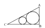In the given figure, ABC is a right angled triangle. angleABC=90^(@) and angleACB=60^(@). If the radius of the smaller circle is 2 cm, then what is the radius (in cm) of the larger circle?